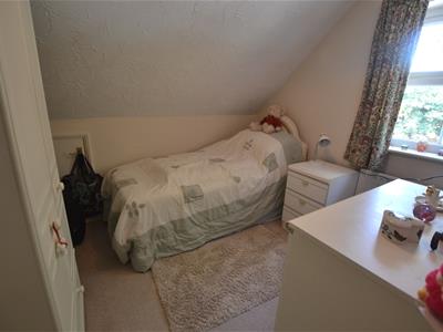 Picture 16